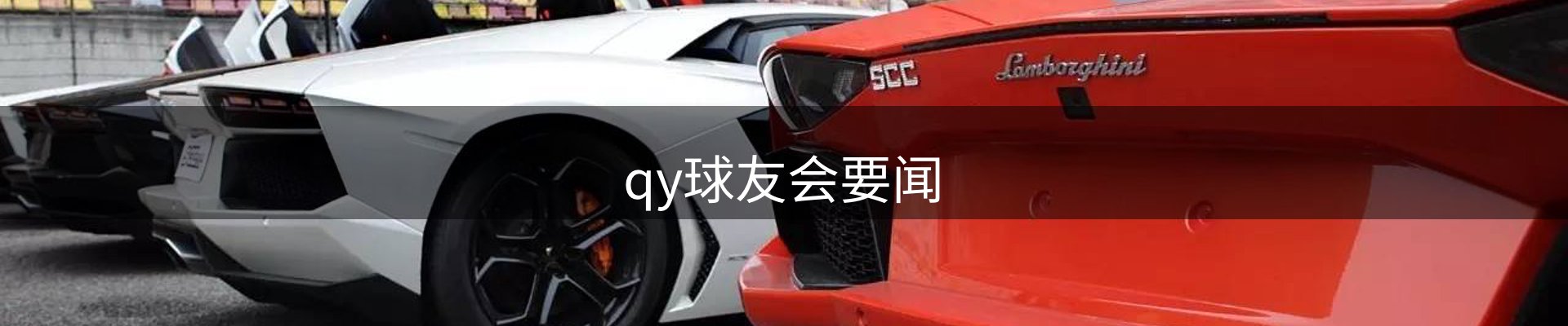 qy球友会要闻